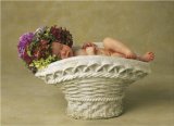 Anne Geddes Jigsaw Puzzle by Schmidt - Hydrangea Planter - (1000 pieces)