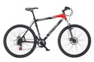 Scorpion Anger 2008 Mountain Bike