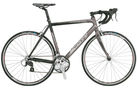 Speedster S60 24 speed 2009 Road Bike