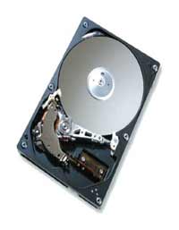 1TB Hard Drive SATAII 7200rpm ST310005N1D1AS-RK