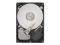 Barracuda 7200.12 - hard drive - 320 GB - SATA-300