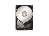 SEAGATE Barracuda ES.2