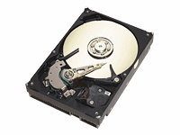 Barracuda Hard drive - 40GB - 2 MB Cache