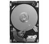 Momentus 5400.5 Hard Drive (ST9320320AS) - 320