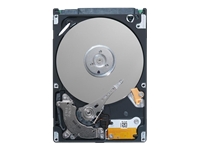 Momentus 5400 FDE.3 ST9320329AS - hard drive - 320 GB - SATA-300