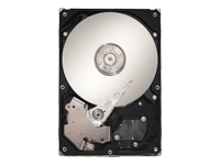 SEAGATE SV35.2 Series ST3500630SV