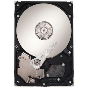 Seagate Barracuda ST310005N1D1AS-RK 1 TB