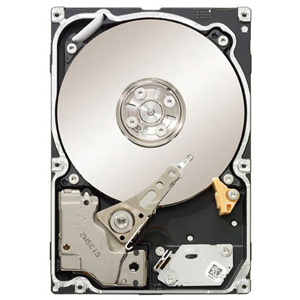 Seagate Constellation ES ST32000445SS 2 TB