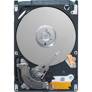 Seagate Momentus ST95005620AS 500 GB Internal