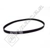 Primary Drive Belt (5463)