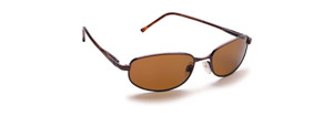 Argosy Sunglasses