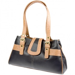 Female Shoulder bag Accessories in Black-Beige