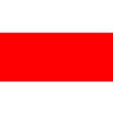 Airbrush Models Paint LifeColor Gloss Red (22ml) FS 11302 - LC56