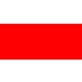 Airbrush Models Paint LifeColor Matt Fluorescent Red (22ml) FS 38913 - LC22