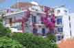 Skiathos Town Skiathos Babis House Hotel