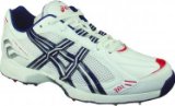 ASICS Gel-Gully Adult Cricket Shoes , UK9.5