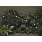 Smart Solar Solar Star Lights 50 LEDs