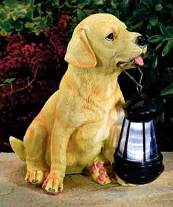 Puppy with Lantern