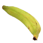 Solstice Ltd Plantain