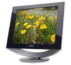 SONY SDMHS53H