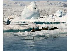 Coast & Jokulsarlon Glacial Lagoon - Youth