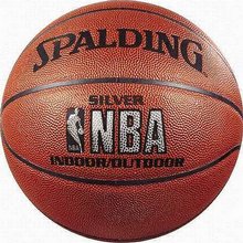 NBA Silver Indoor/Outdoor