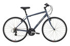 Globe 2008 Hybrid Bike