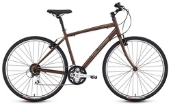 Globe Elite 2007 Hybrid Bike