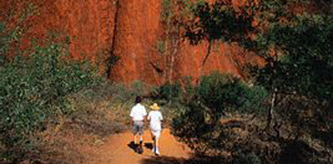 of the Uluru (Morning Tour)