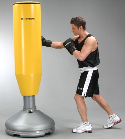 Free Standing Evolution Punch Bag