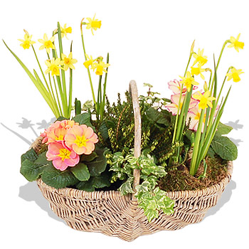 Spring Garden Trug - flowers