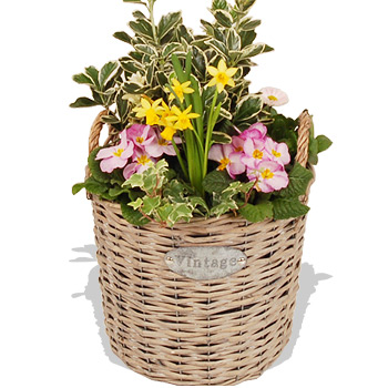 Outdoor Planter - flowers