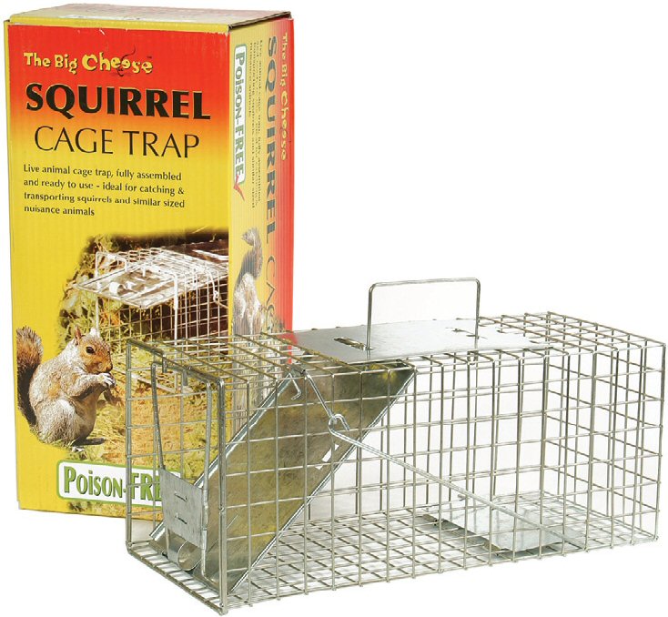 Squirrel Trap