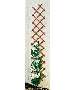 Trellis 1.8m x 0.3m