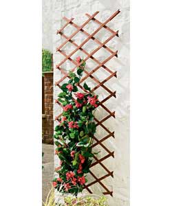 Trellis 1.8m x 0.6m