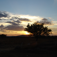 Star Gazing in the desert and Mandi dinner Spring Tours Sharm El Sheikh Star Gazing in the