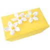 summer Selection - 16 Choc in ``Sunshine Daisy``