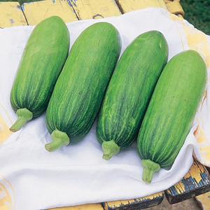 Summer Squash Maiden Poll F1 Seeds