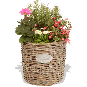 Vintage Planter - flowers