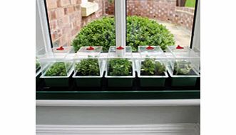 Super 7 Self-watering Propagator