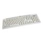 Multimedia Keyboard PS/2