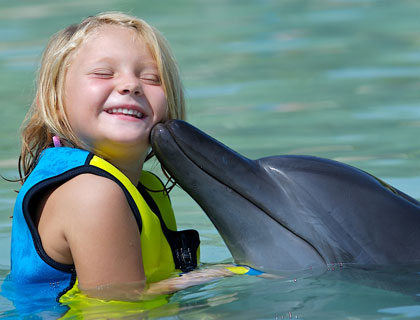 Shallow Water Dolphin Interaction