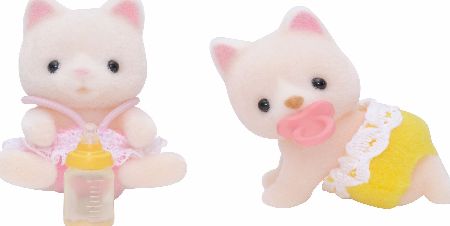 Silk Cat Twin Babies