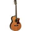 TW45-N-NS Sundance Pro Series Super Folk Cutaway