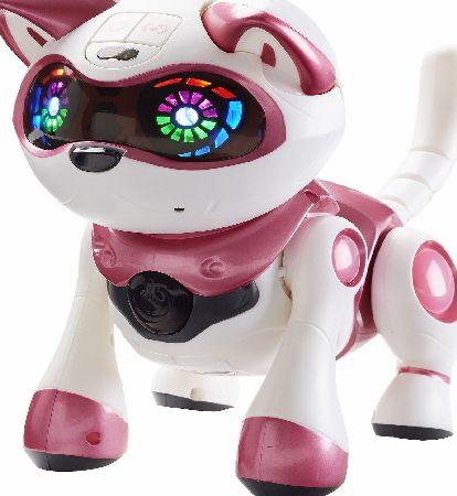 Teksta Robotic Kitten
