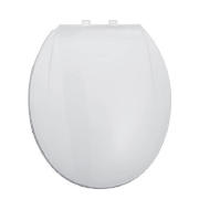 Plastic molded toilet seat