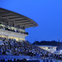 Evan Evans - Day At The Races The Final Furlong