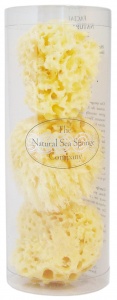 THE NATURAL SEA SPONGE COMPANY - SET 3 HONEYCOMB