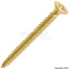 Top Brass Cross Recess Woodscrews 10 x