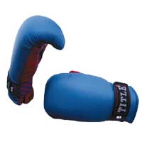 Premier Bag Mitt Small